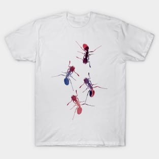 Ants T-Shirt